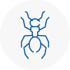 Ant Removals In Burry Port