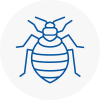 Bed Bug Extermination In Burry Port
