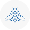 Bee Nest Removal Burry Port