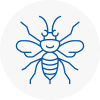 Burry Port Hornet Nest Removals