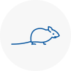 Mice Exterminators In Burry Port