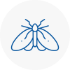 Moth Control Specialists In Burry Port