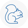 Burry Port Rodent Removals